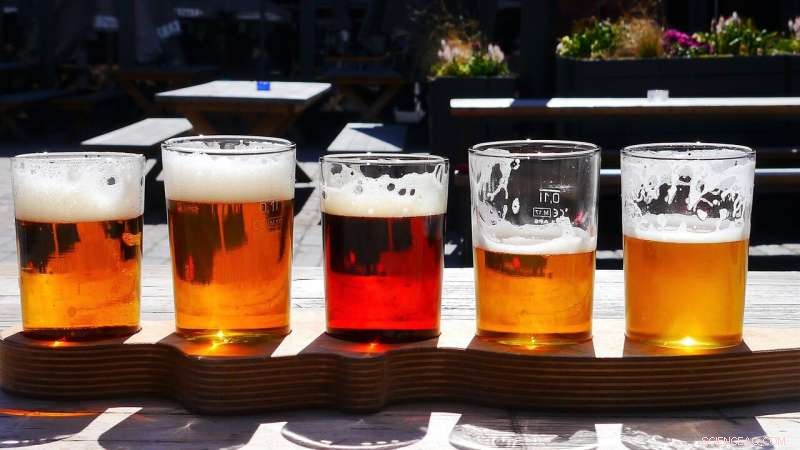 Craft Beer That Stays Fresh Longer: Expert Brewing Tips