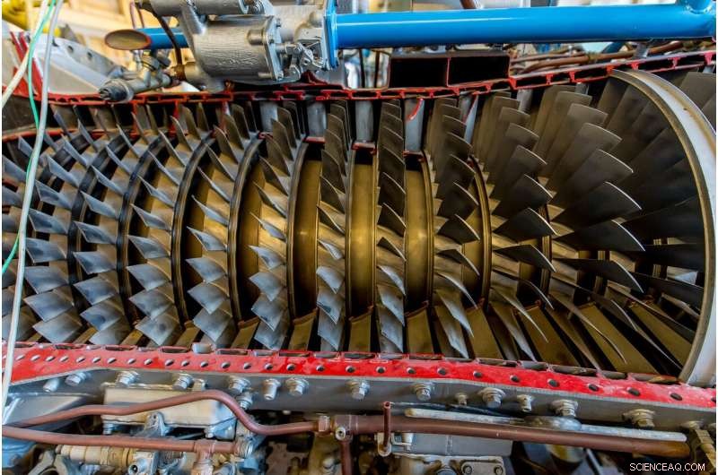 Surface Effects Shape Hydrogen Distribution in Metals