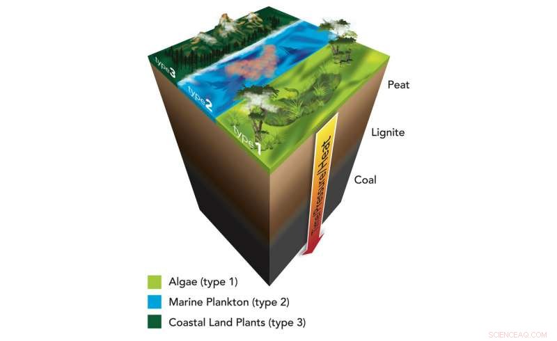 X‑Ray Breakthrough: Scientists Reveal Shale Secrets Fueling Rapid Energy Growth