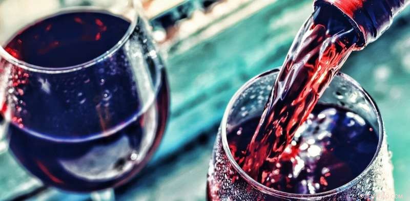Understanding Wine Dryness: How to Detect It and Why It Matters