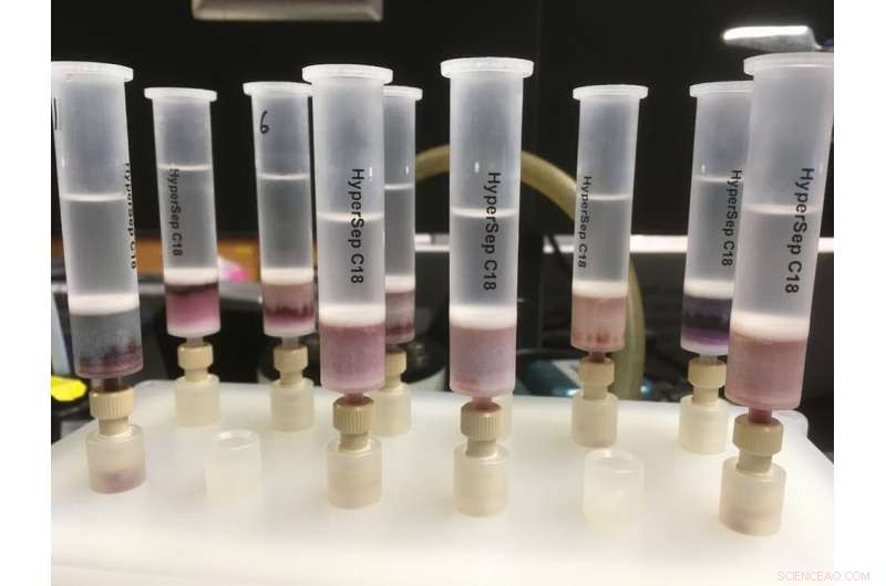 Understanding Wine Dryness: How to Detect It and Why It Matters