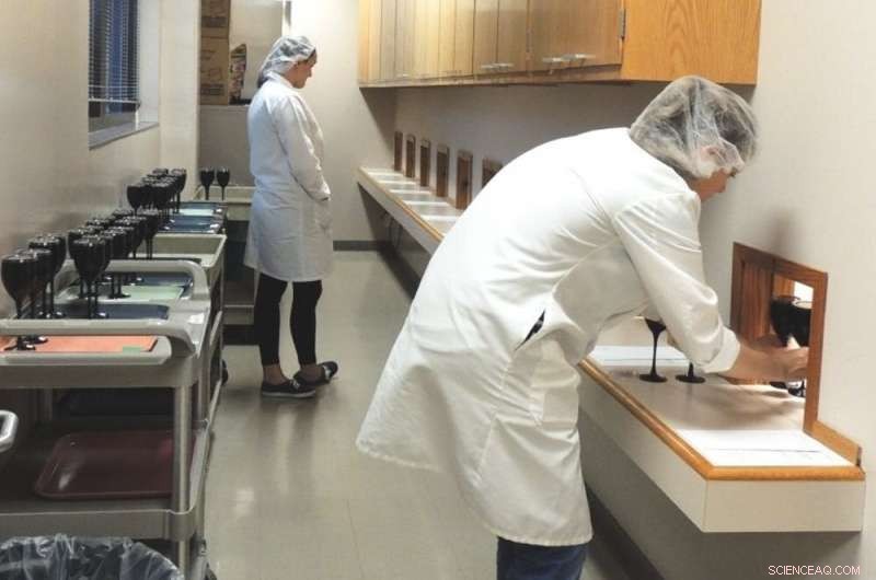 Understanding Wine Dryness: How to Detect It and Why It Matters