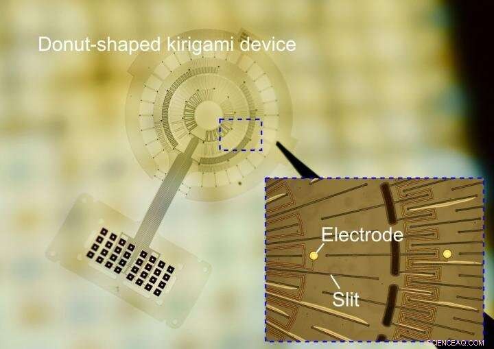 Kirigami-Enabled Electronics for Direct Muscle Integration