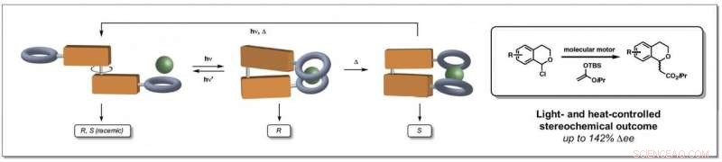 Harnessing a Light-Driven Molecular Motor to Switch Anion-Binding Catalyst Preference