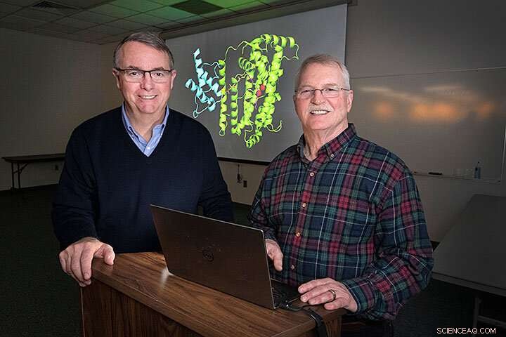 Plant Enzyme Discovery Paves Way for Sustainable Green Chemistry