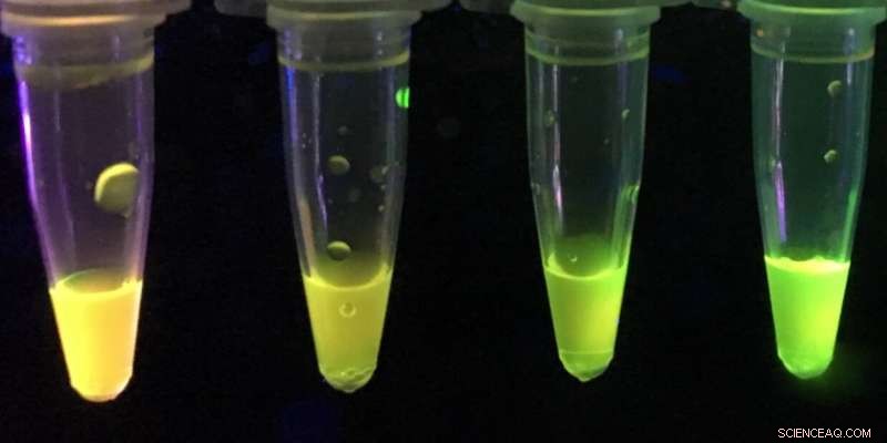 University of Alberta Chemists Create Paper-Based Sensor for Rapid Detection of Nerve Toxins