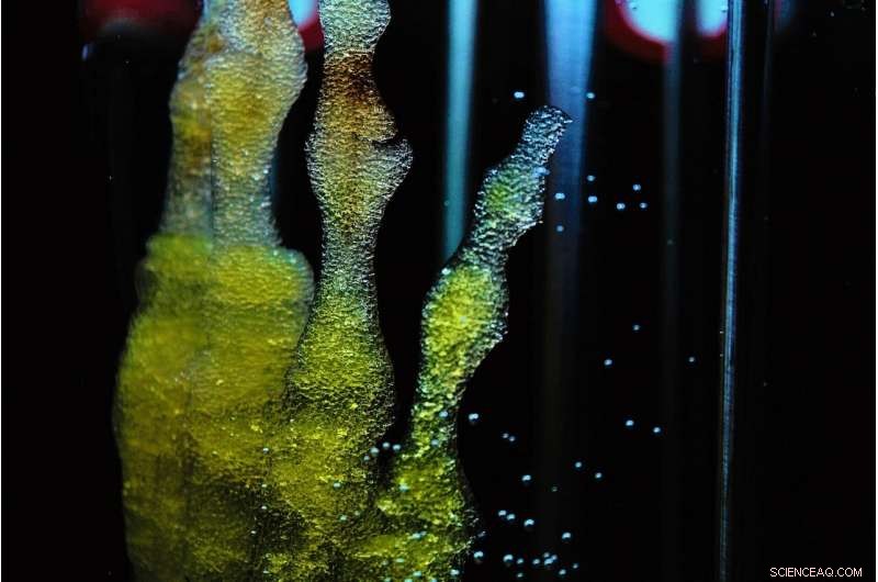 Research Team Unveils Biotransistors That Detect the Smallest Signals