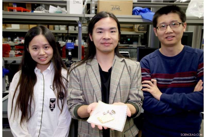 Chiton Mollusk Inspires Advanced Armor Design