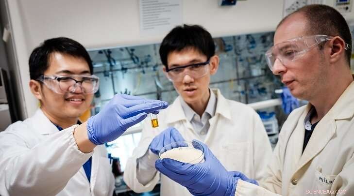 Scientists Turn Plastics into Valuable Chemicals with Sunlight