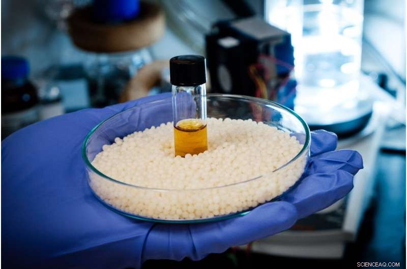 Scientists Turn Plastics into Valuable Chemicals with Sunlight