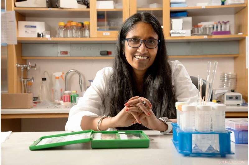 Innovative Bone Bandage Harnesses Natural Healing Biochemical to Speed Recovery