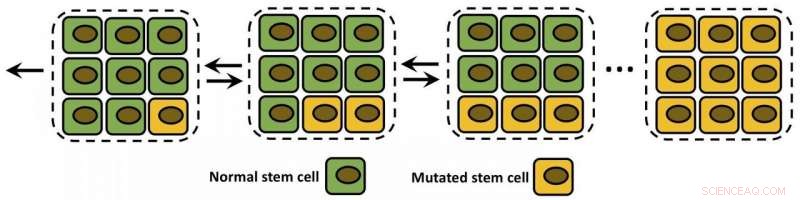 Chemists  Computational Models Promise Advances in Cancer Prediction