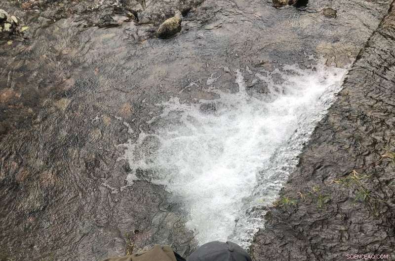 Northwestern’s Rapid Fluoride Test Could Halt Fluoride‑Related Disease