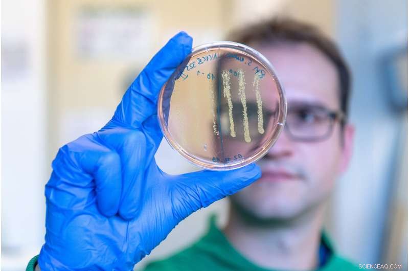 Repurposed Cancer Drug Shows Promise Against Multi-Drug Resistant Bacteria