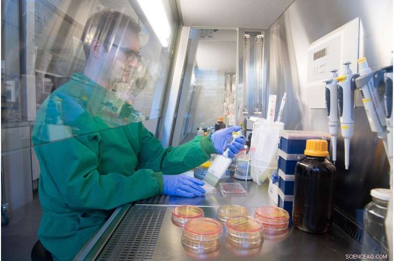 Repurposed Cancer Drug Shows Promise Against Multi-Drug Resistant Bacteria