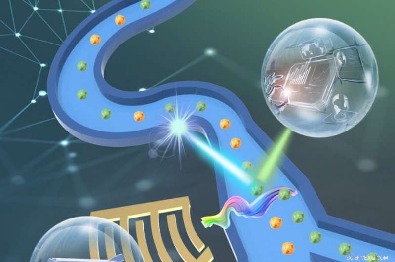 Sheathless Acoustic FACS: Precise, High‑Purity Cell Sorting with Unmatched Viability