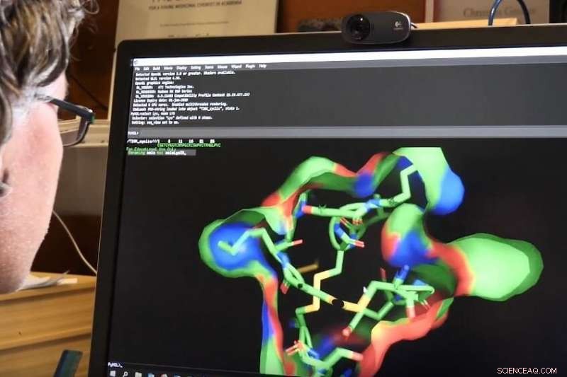 Harnessing Nature-Derived Peptides as Precision Tools for Cellular Signaling Research