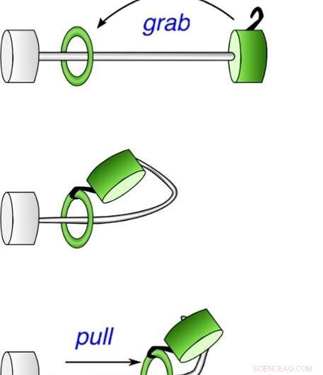 Scientists Engineer the World’s Fastest Molecular Shuttle
