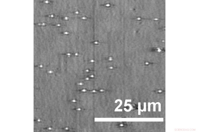 Revolutionary Single‑Molecule Cancer Marker Detection Moves Liquid Biopsy into Clinical Reality