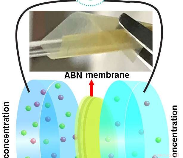 Bone‑ and Cartilage‑Inspired Membrane Efficiently Harvests Saltwater Power