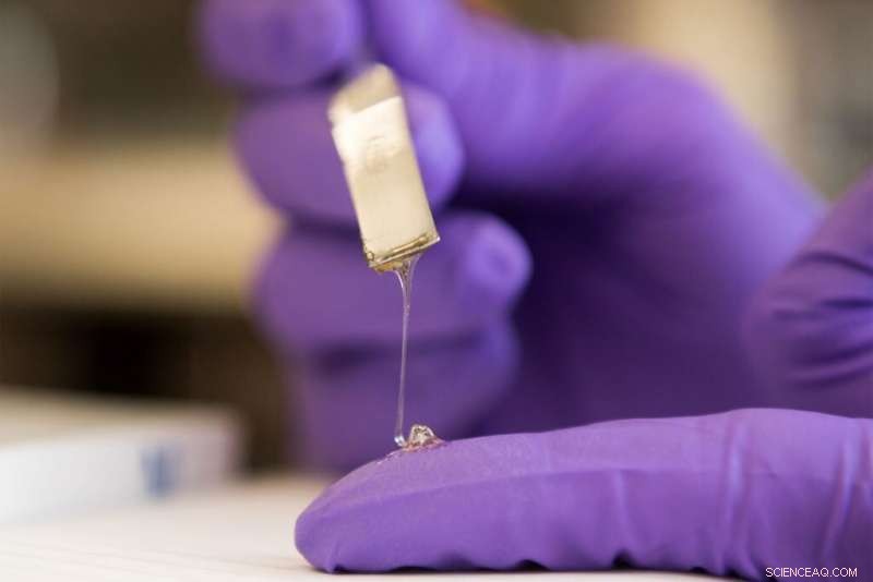 The Future of Sustainable Adhesives: Why They May Not Endure