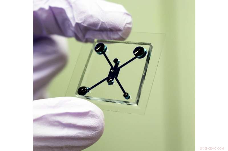 Innovative Tumor‑On‑a‑Chip Technology Accelerates Discovery of Effective Cancer Therapies