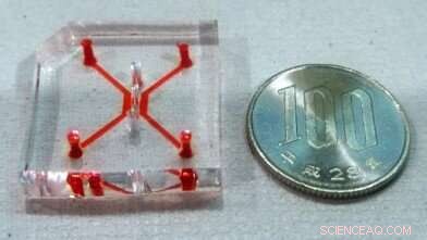 Innovative Tumor‑On‑a‑Chip Technology Accelerates Discovery of Effective Cancer Therapies