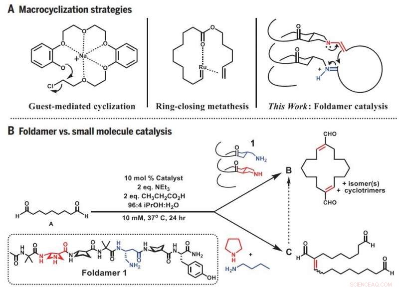 Chemists Engineer Enzyme‑Like Catalysts to Synthesize Large, Functional Carbon Rings