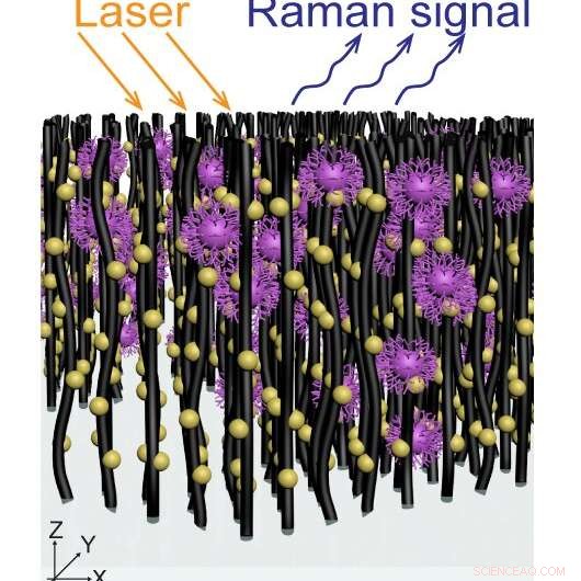 Rapid, Low‑Cost Nanotube Device for Quick Virus Capture and Identification