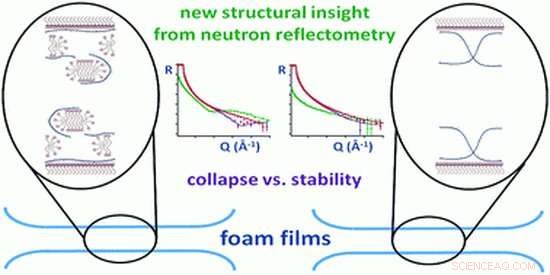 Scientists Advance the Quest for the Ideal Beer Foam