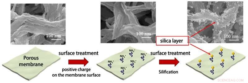 Ultra‑Thin Durable Membrane Enhances Oil‑Water Separation Efficiency