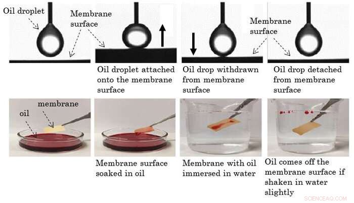 Ultra‑Thin Durable Membrane Enhances Oil‑Water Separation Efficiency