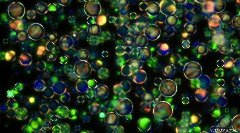 Scientists Engineer Nested Crystal Structure for Next‑Generation Electronics