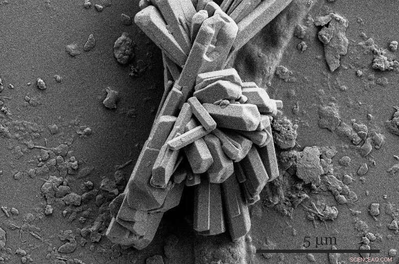Unveiling the Hidden Threat: Particulate Matter s Impact on Solar Farms