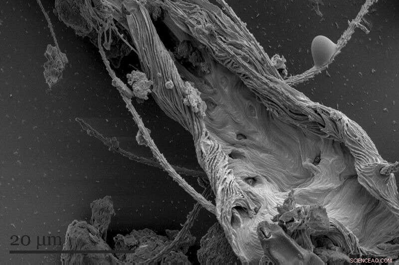 Unveiling the Hidden Threat: Particulate Matter s Impact on Solar Farms