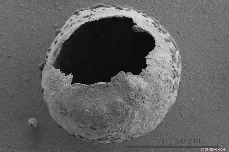 Unveiling the Hidden Threat: Particulate Matter s Impact on Solar Farms