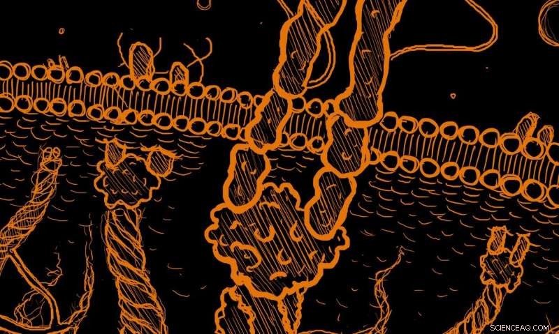 Cellular  Hands  Pave the Way for Breakthroughs in Health Research, Drug Design, and Bioengineering