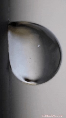 Biomimicry: How Plants Inspire More Efficient Thermal Cooling