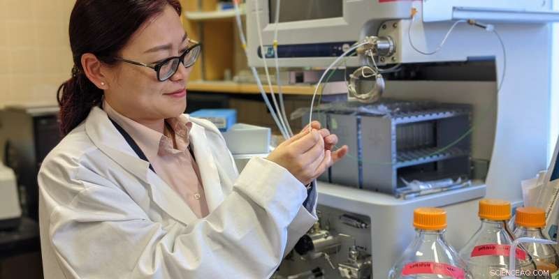 Researchers Develop Self‑Repairing Artificial Cartilage Using Biopolymer Hydrogel