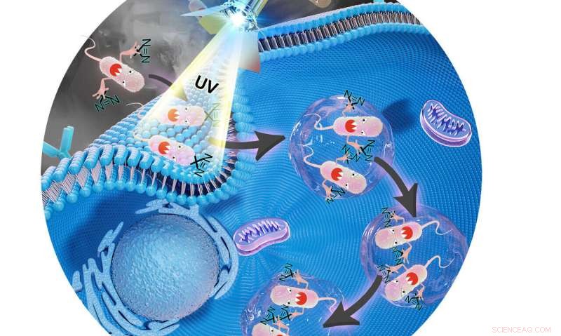 Scientists Pioneer Real‑Time Tracking of Salmonella Infections