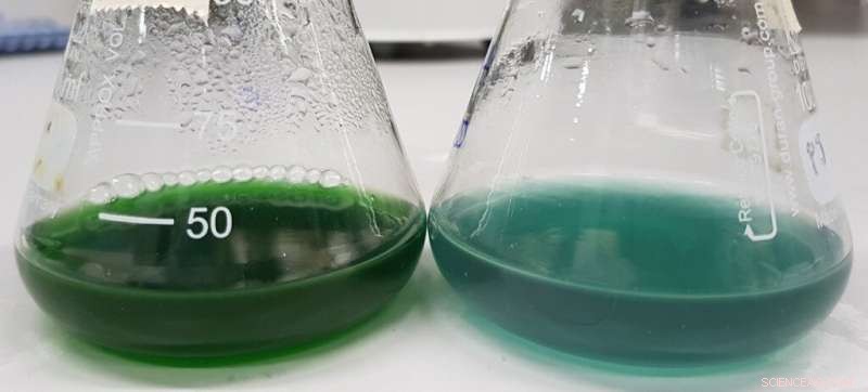 Scientists Discover Sustainable Chemical Production Method Inspired by Nature