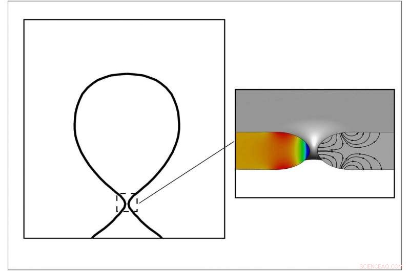 Microbubble Research Promises Greener Food Processing: Cut Chemicals & Water Use