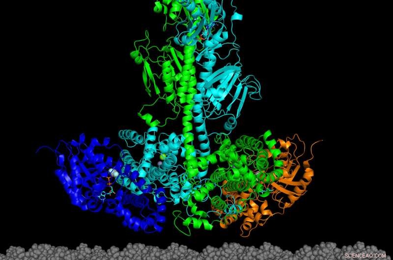 New Breakthrough: UNH Deciphers Protein Structure Linked to Inherited Retinal Diseases
