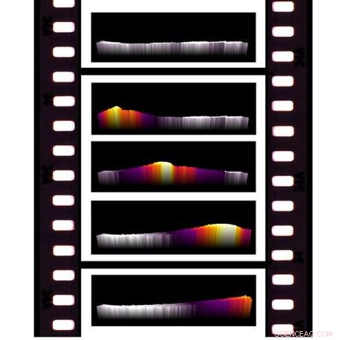 Capturing Chemical Reactions in Real Time Using Infrared Thermography