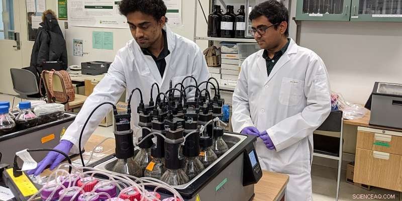 Innovative Method Accelerates Waste-to-Methane Conversion, Boosting Renewable Energy Production