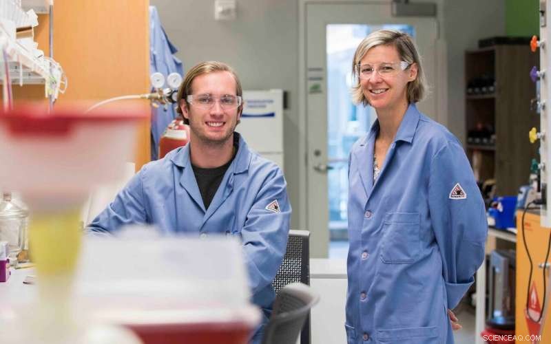 New Bilingual Molecule Bridges DNA and Protein Coding Systems