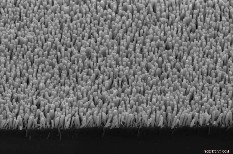 Artificial Photosynthesis Generates Green Methane, Turning CO2 into Renewable Fuel