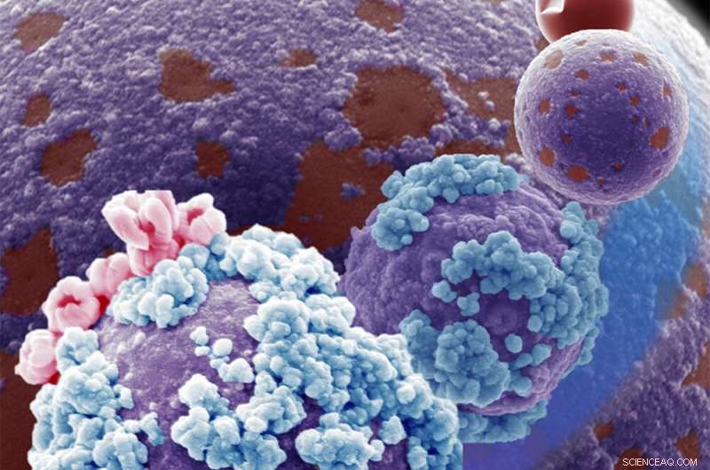 Engineers Create Heat‑Responsive Chameleon Metals That Adapt Their Surfaces