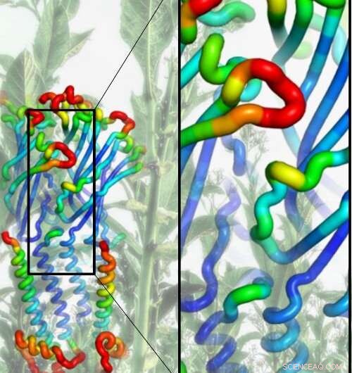 Faster Discovery Promises More Effective Smoking Cessation Therapies