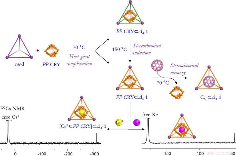Cambridge s Russian-Doll Molecules Offer Clean, Sustainable Encapsulation Technology